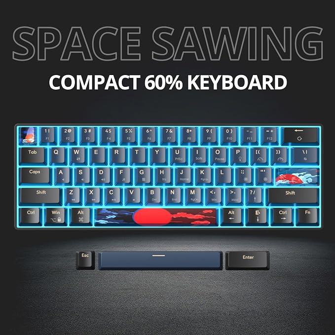 61 Blue Samurai/Red Switch