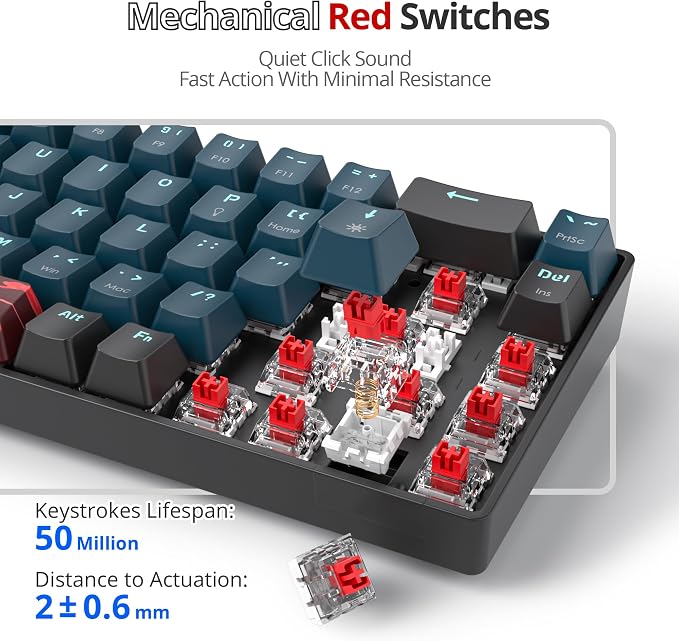 68 Monster/Red Switch