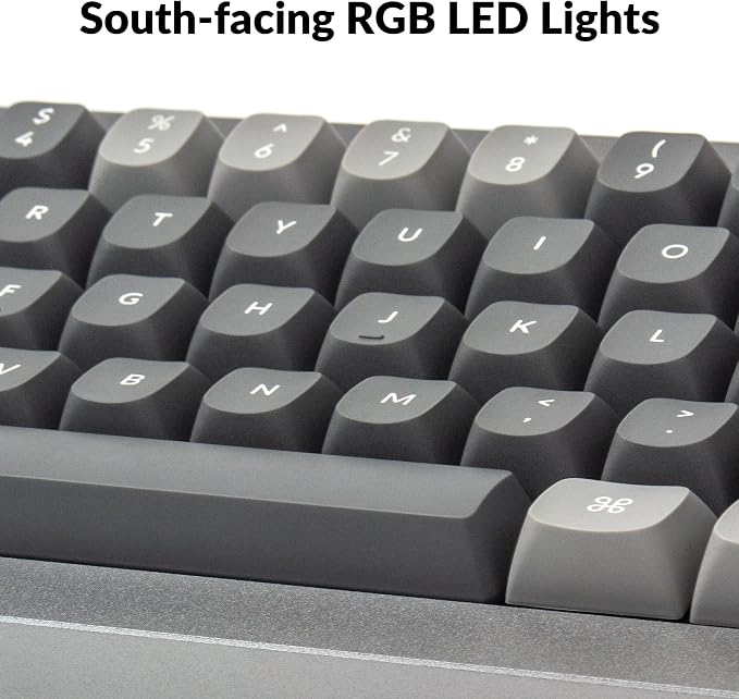 Gray (Gateron G Pro Red Switch)