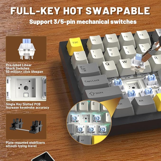 starblack/shark switches