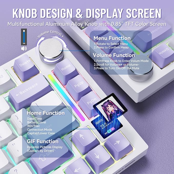 Starlight White (Gift Edition Switch)