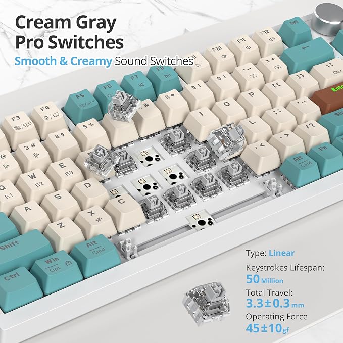 Brown/GrayCreamSwitch