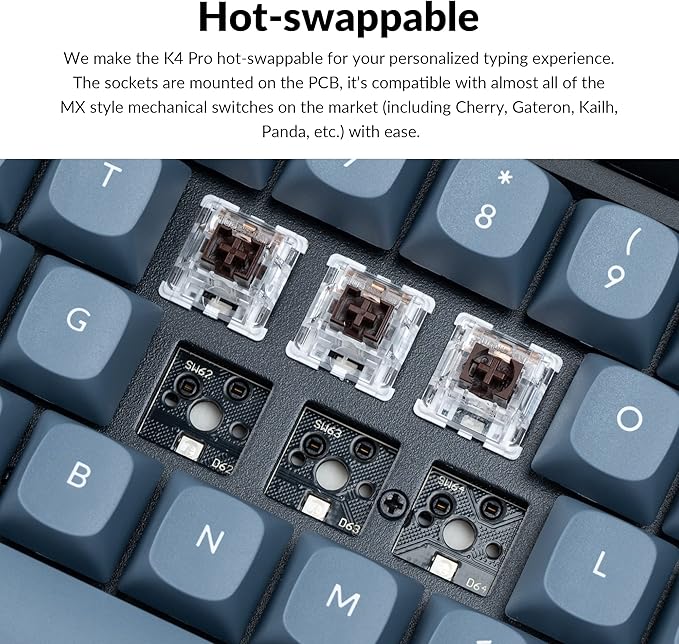 Black-K Pro Brown Switch