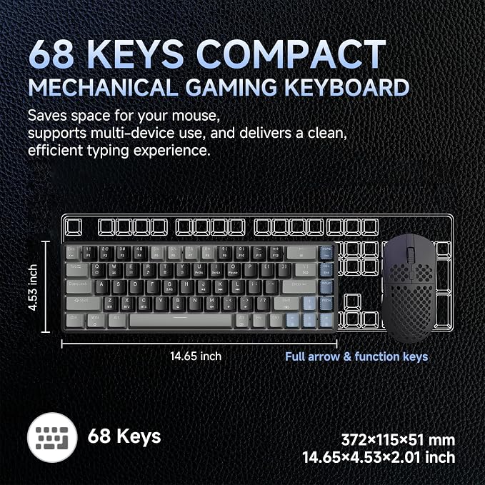 Grey Black/Blue Switch