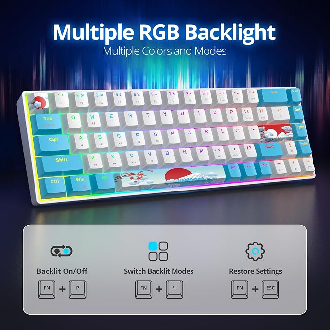 68 Sea/Blue Switch