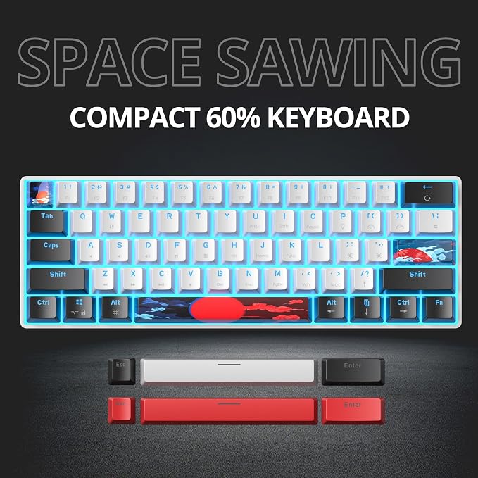 61 Black & White/Red Switch
