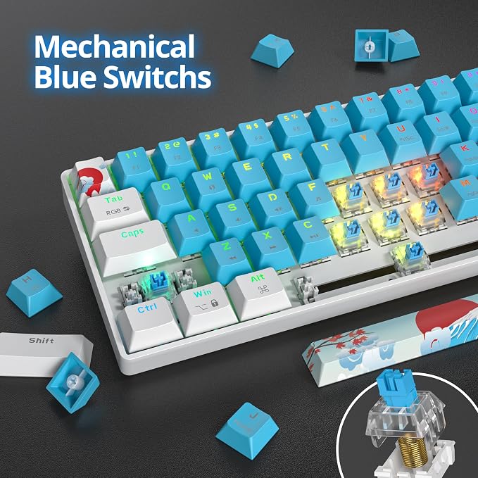 61 Blue/Blue Switch