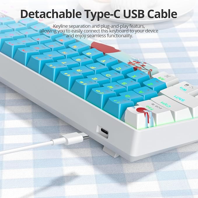 61 Blue/Red Switch