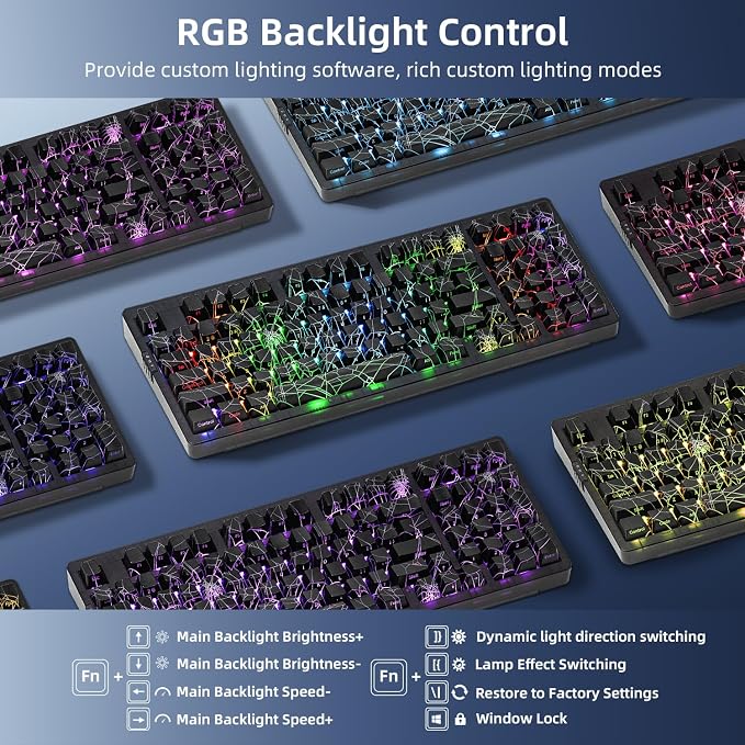 Black Spider Web