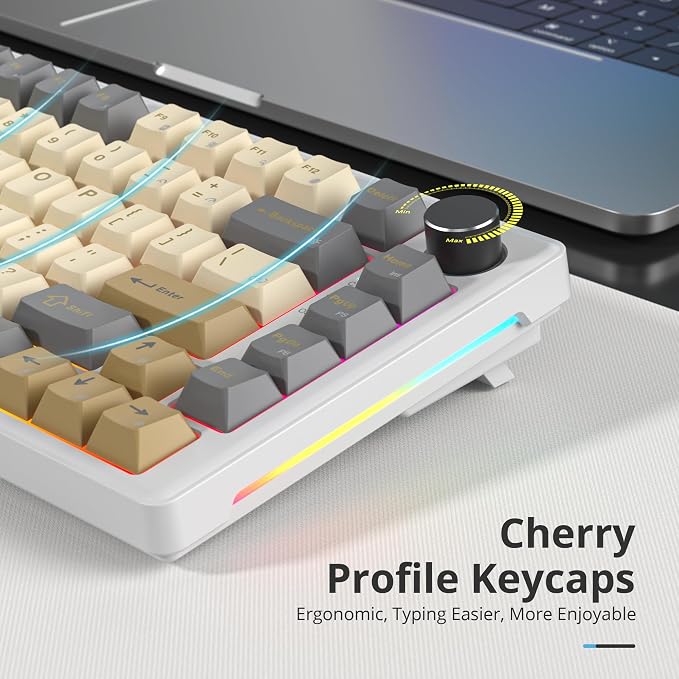 Shimmer/White Switch