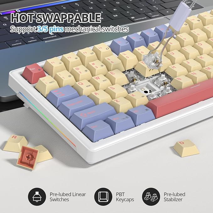 Cotton Candy/White Switch