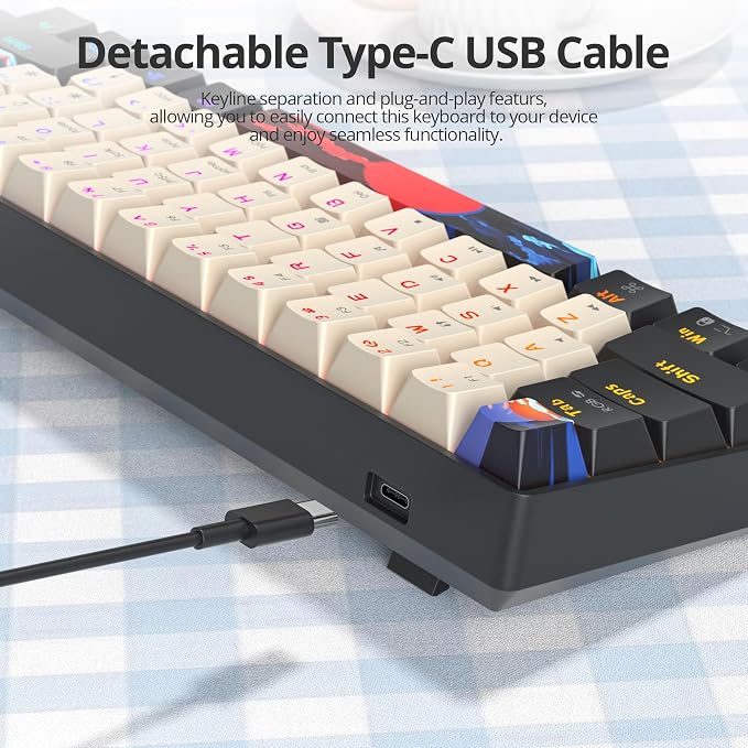 61 Carbon/Red Switch