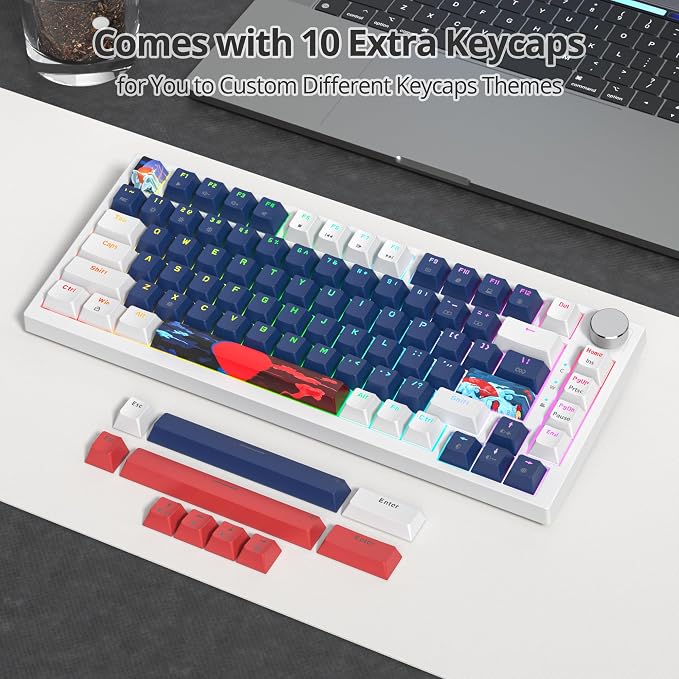 82 White Blue/Red Switch