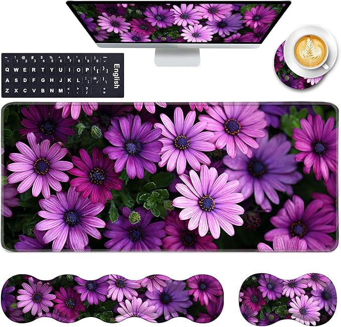 African Daisy