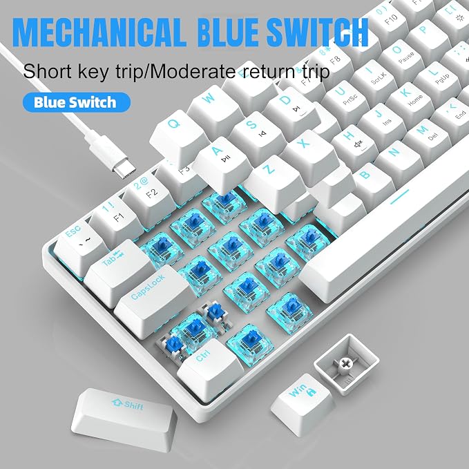 White(Ice Blue Light)/Blue Switch