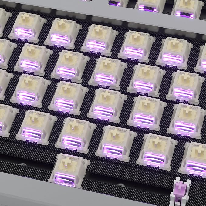 V3 Tactile Switch