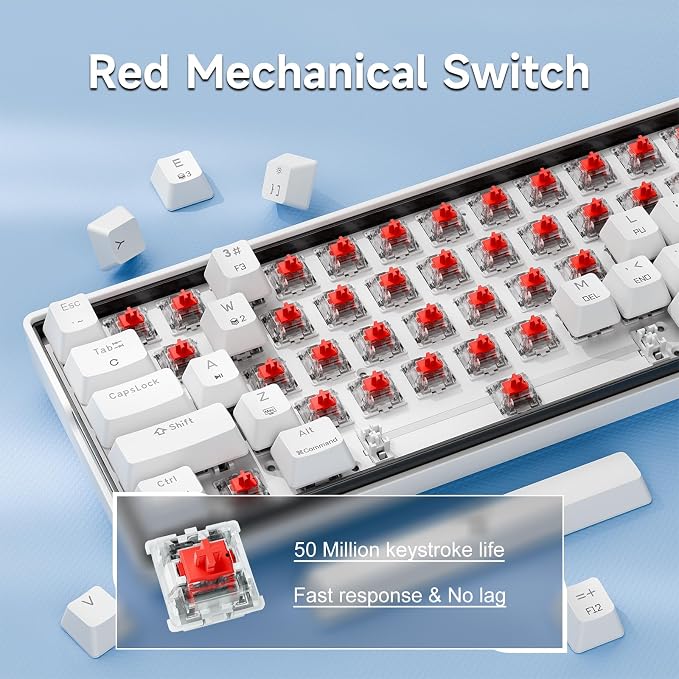 White-RGB