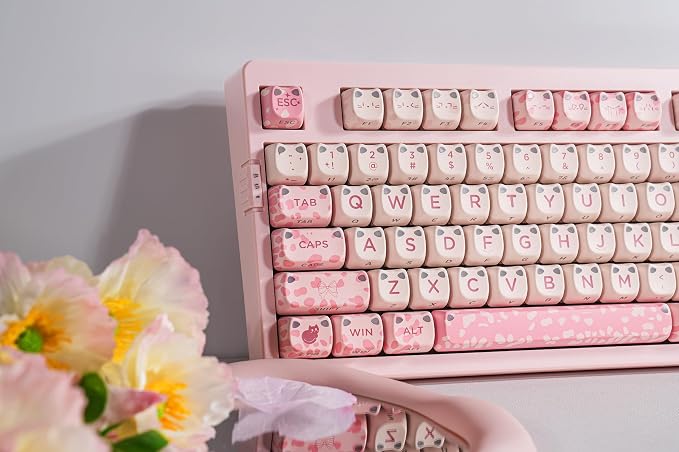 Sakura Paws