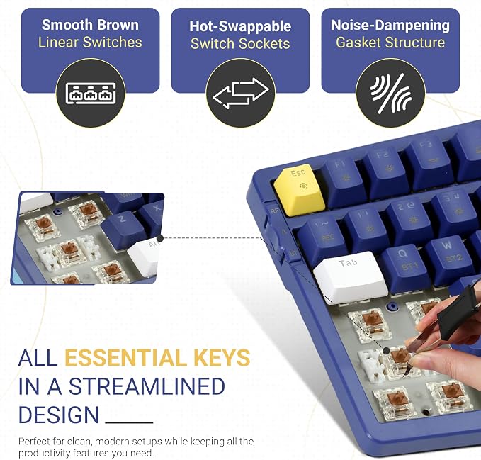 Brown Switch-Dark Blue & Yellow