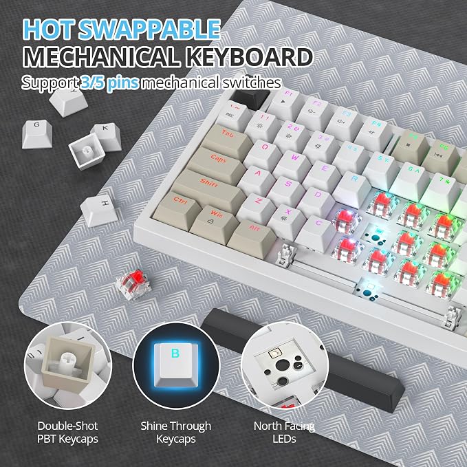 Gray Black White /Red Switch