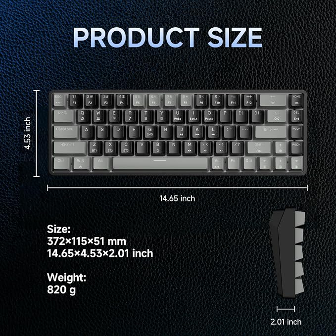 Grey Black/Blue Switch