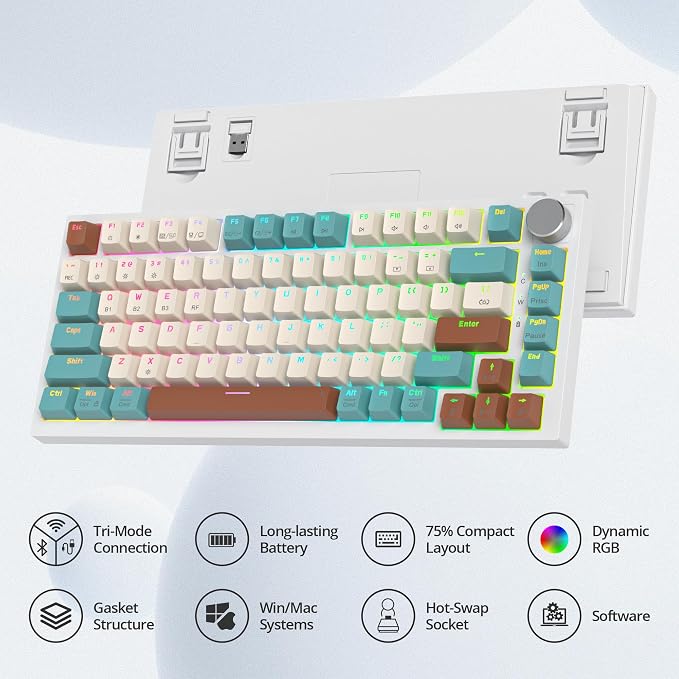 Brown/GrayCreamSwitch
