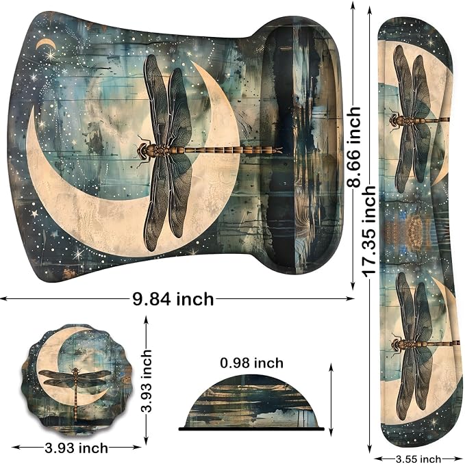 Dragonfly Meniscus