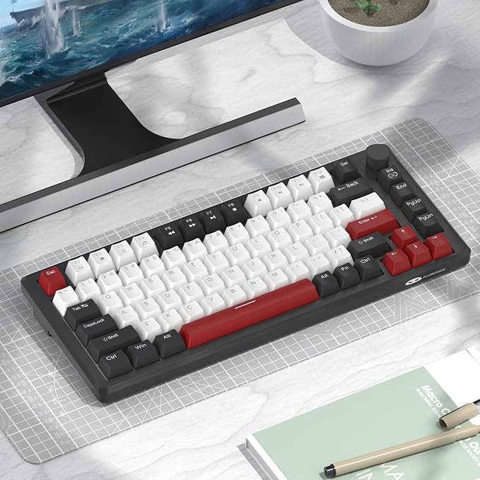 Black & White - Red Switch
