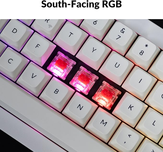 Gateron Jupiter Red Switch-White