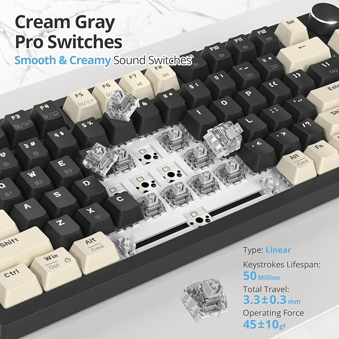 Black/GrayCreamSwitch