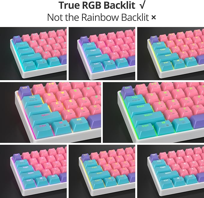 zhi/red Switch