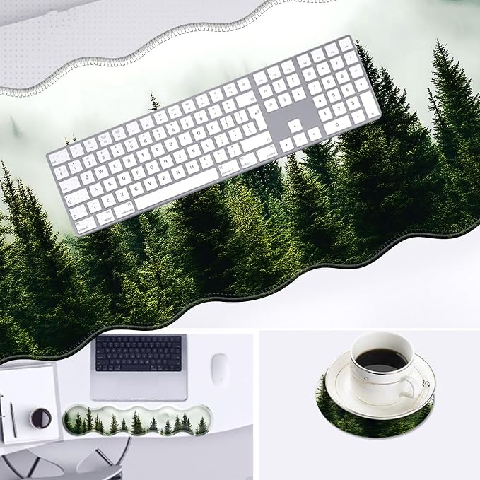 26 Forest