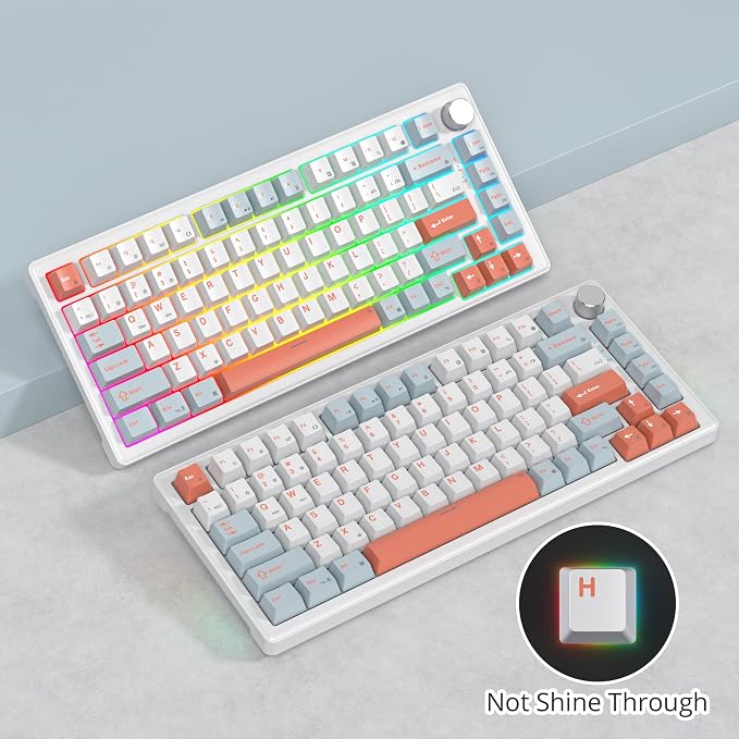 Salmon/White Switch