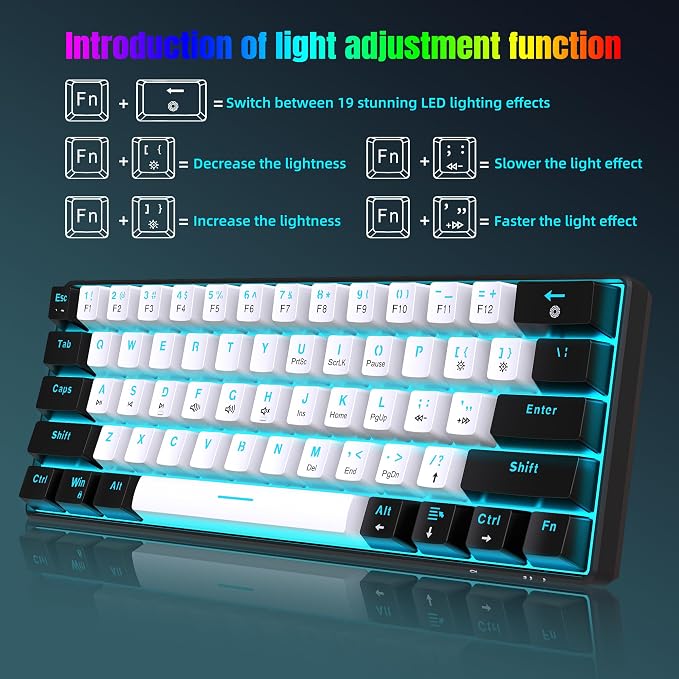 Black White(Ice Blue Light)/Blue Switch