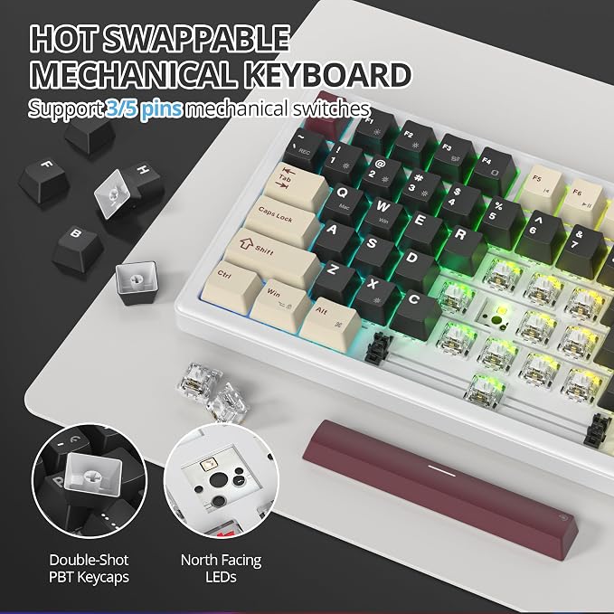 82 Roman/White Switch