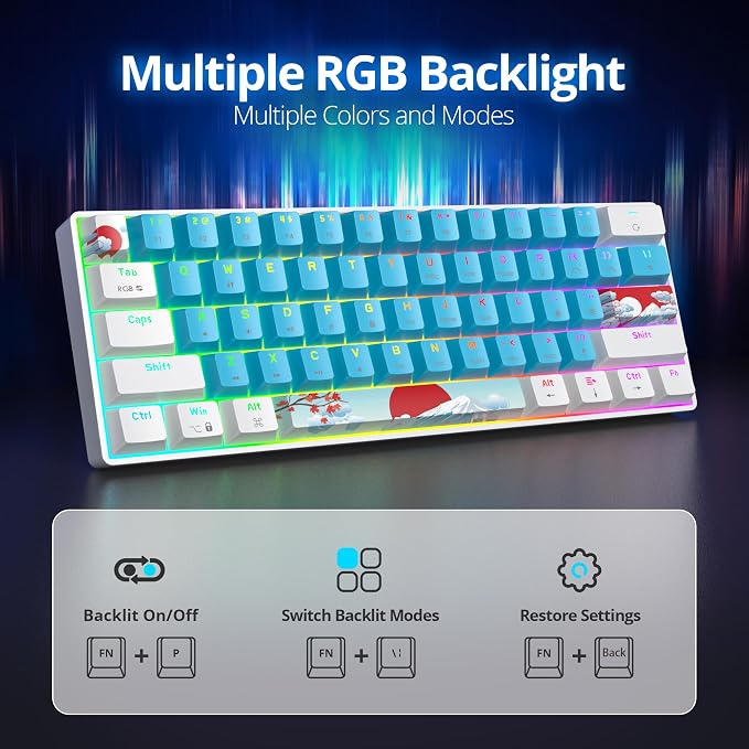 61 Blue/Blue Switch