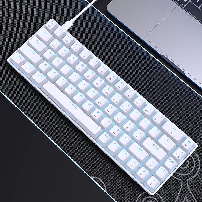 White/Blue Switch