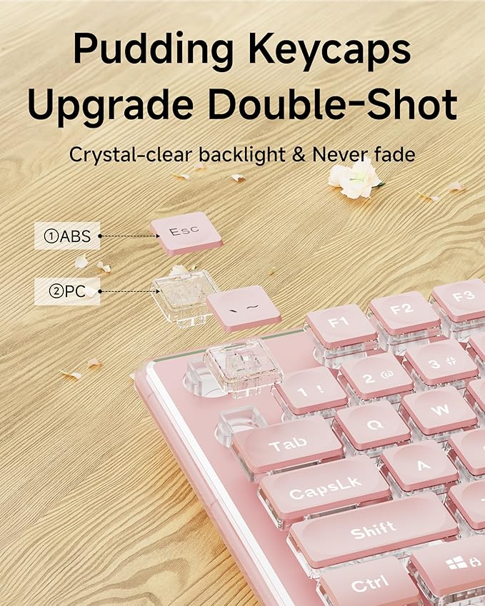 Upgraded Version - Pink